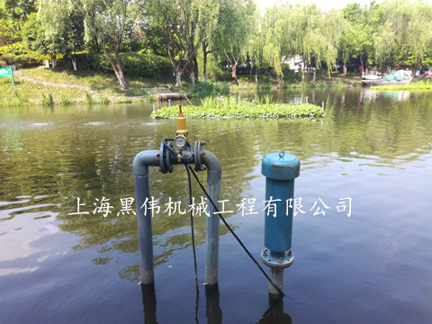 河道治理沉水式鼓風(fēng)機(jī)