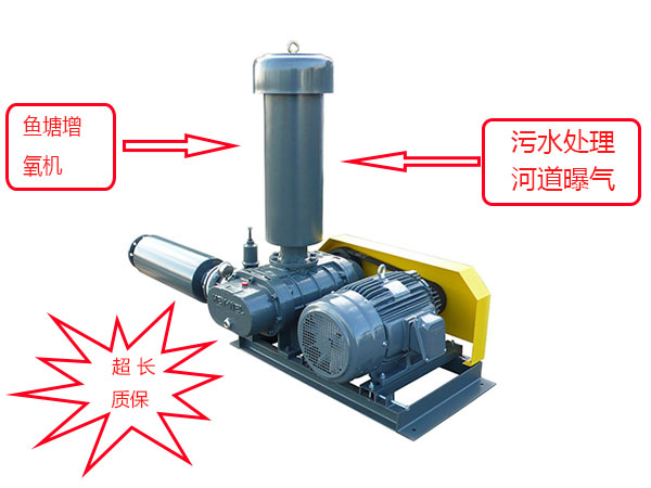 黑偉羅茨風(fēng)機(jī)水產(chǎn)養(yǎng)殖增氧機(jī)